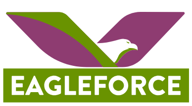 Eagle Infra Logo